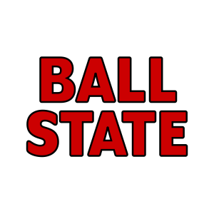 team logo 2
