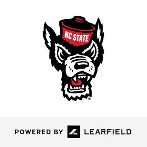 team logo 2
