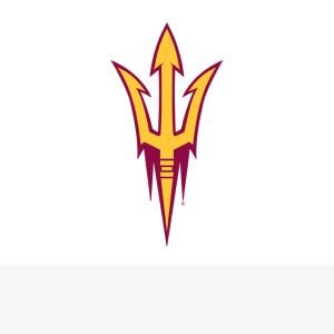 team logo 1