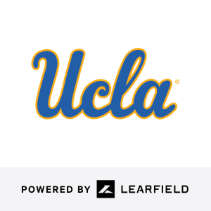 team logo 2
