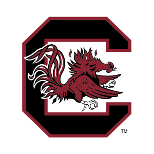 team logo 2