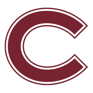 team logo 1
