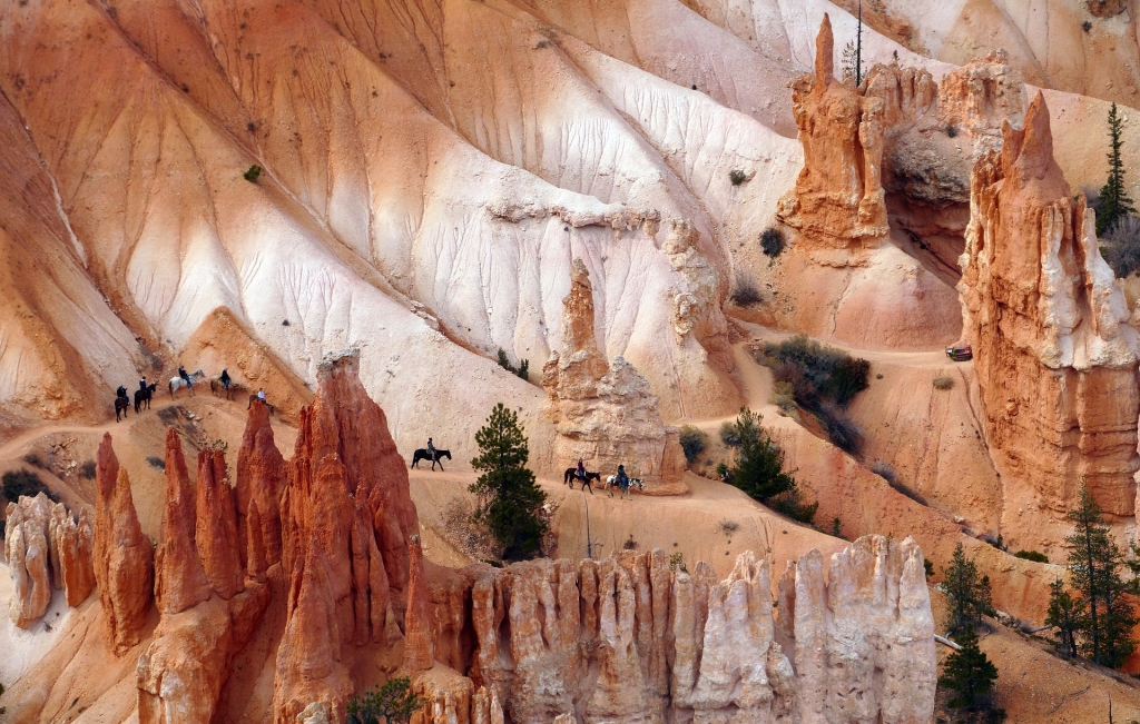 Riders On The Trail