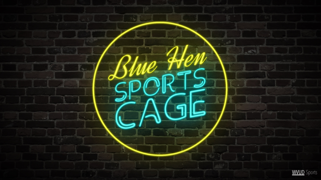 Blue Hen Sports Cage