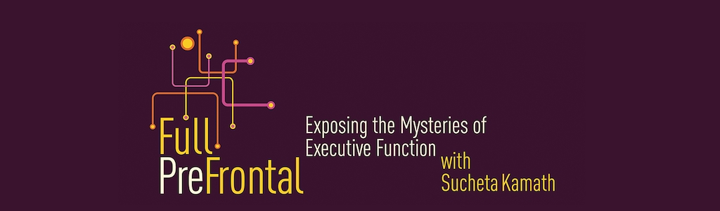 Full PreFrontal: Exposing the Mysteries of Executive Function