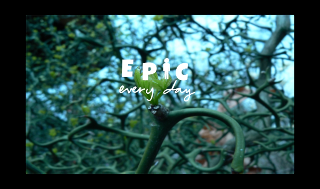 Epic Every Day