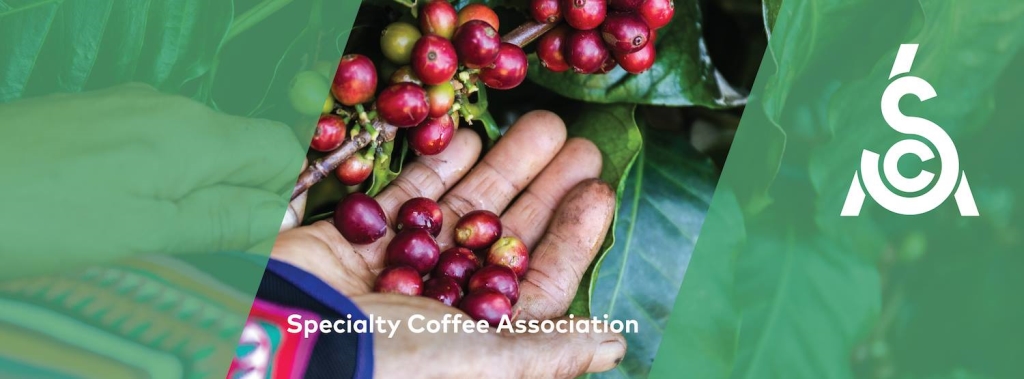 Coffee Association Lectures