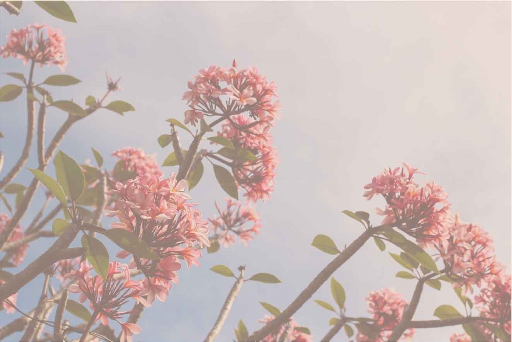 The Process: interviews with creatives