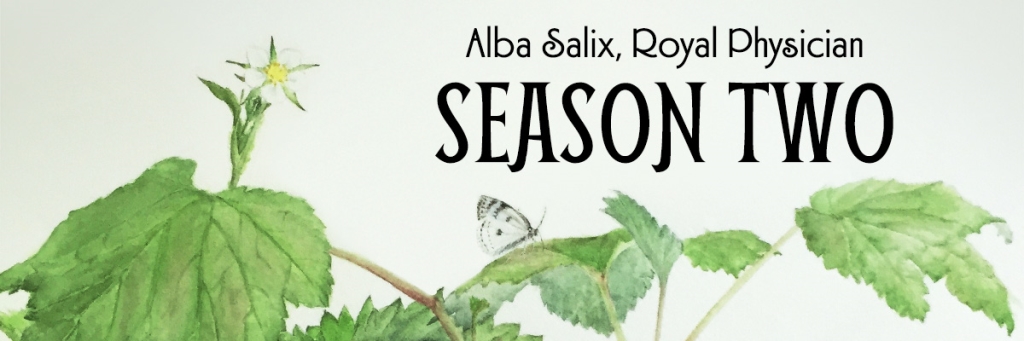 Alba Salix, Royal Physician