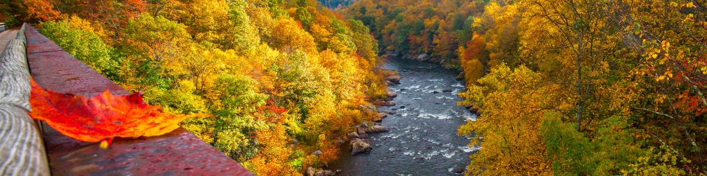 Laurel Highlands Happenings