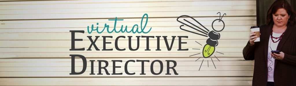 Virtual Executive Director