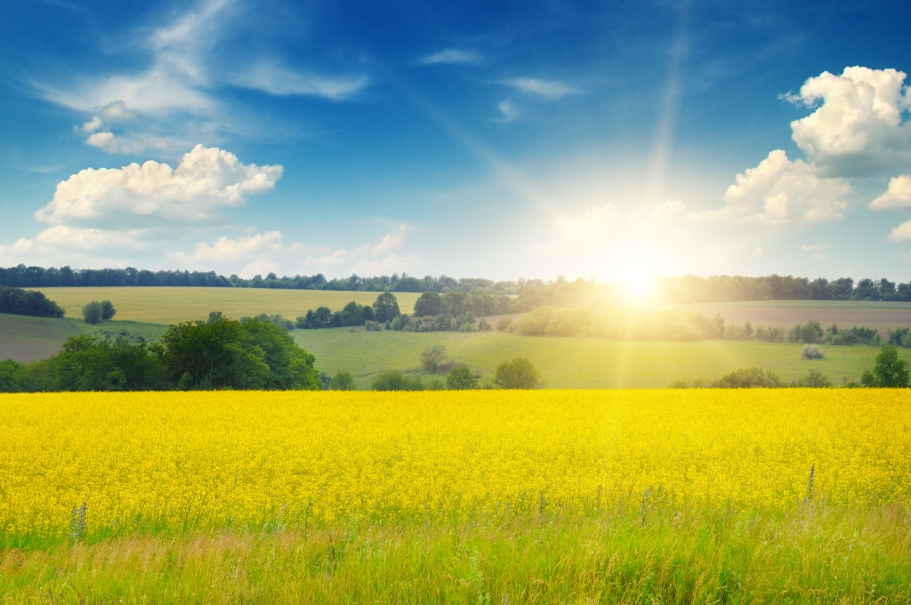 Starting Over With Christianity