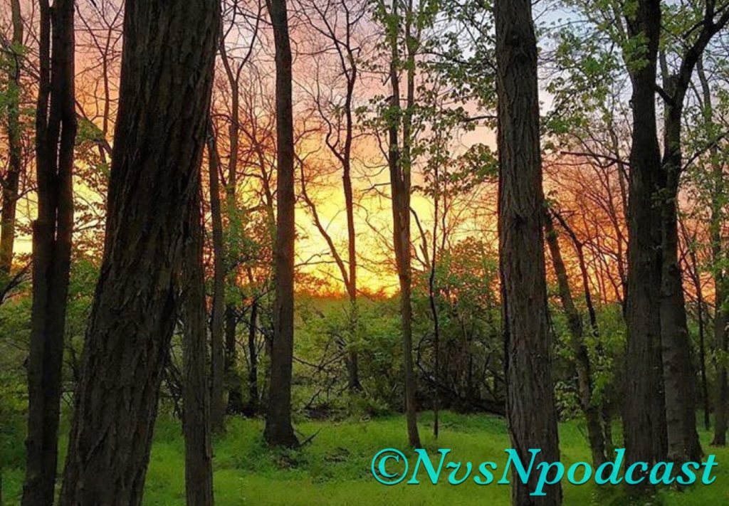 Nature vs Narcissism