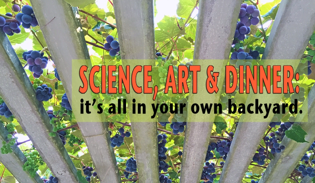 Plantrama - plants, landscapes,