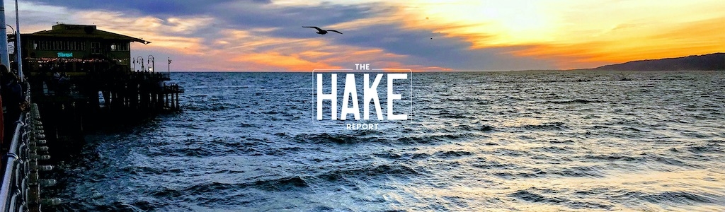The Hake Report