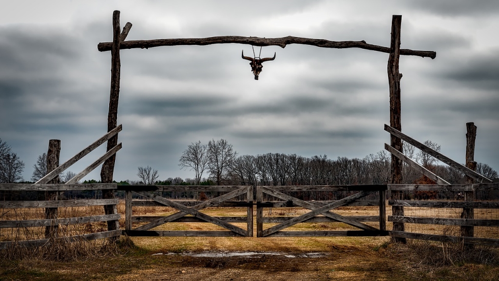 All Crime No Cattle