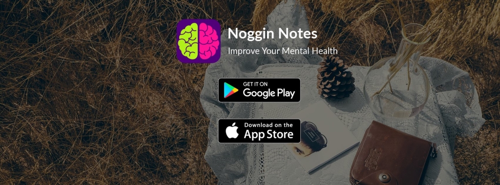 Noggin Notes