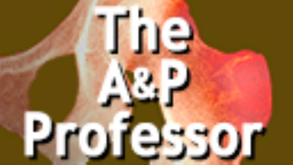 The A&P Professor