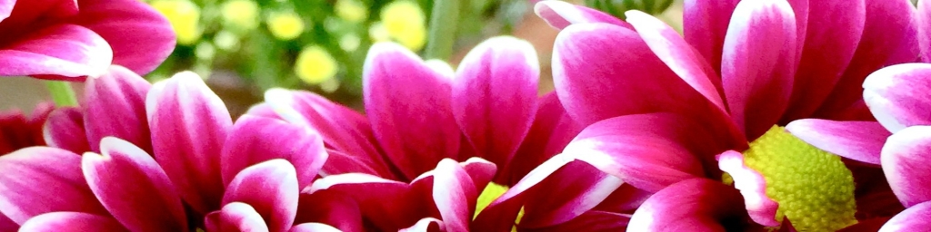 Bright and Clear Meditation