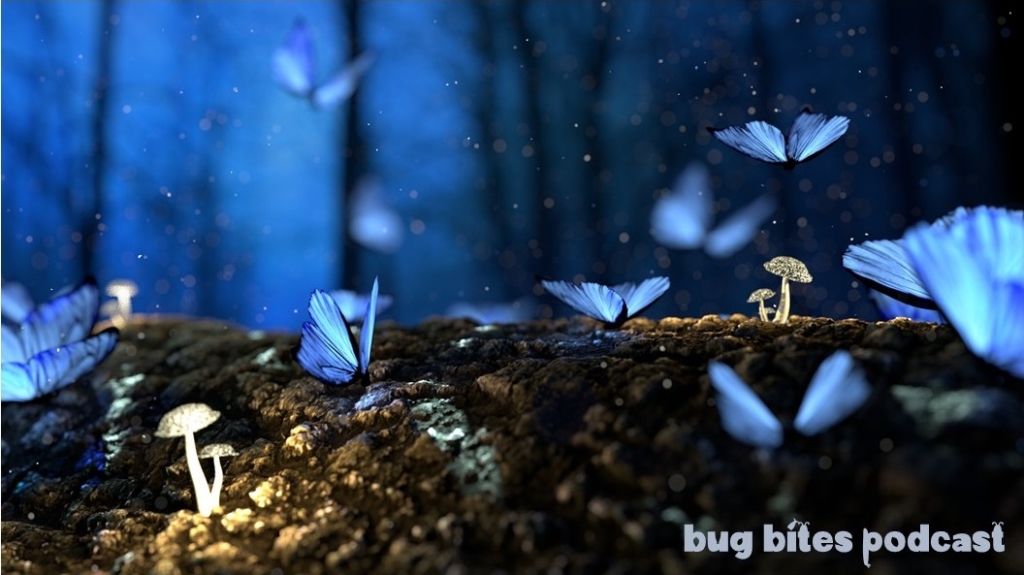 Bug Bites Podcast