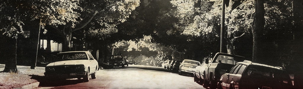 Southern Nightmare: The Hunt for the South Side Strangler