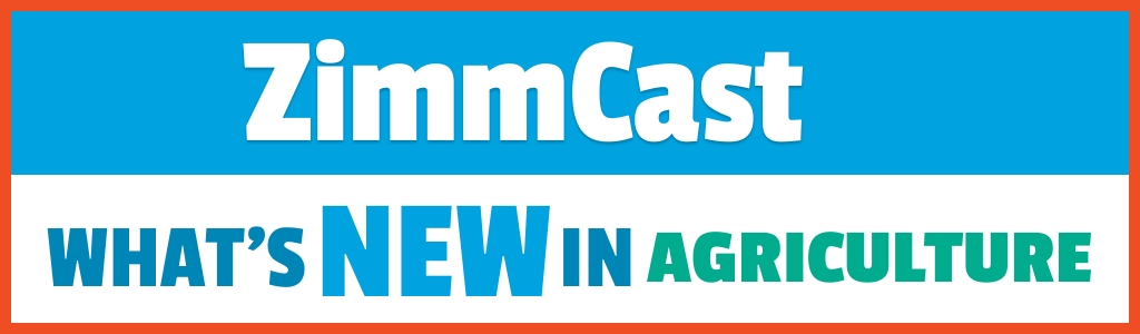 ZimmCast