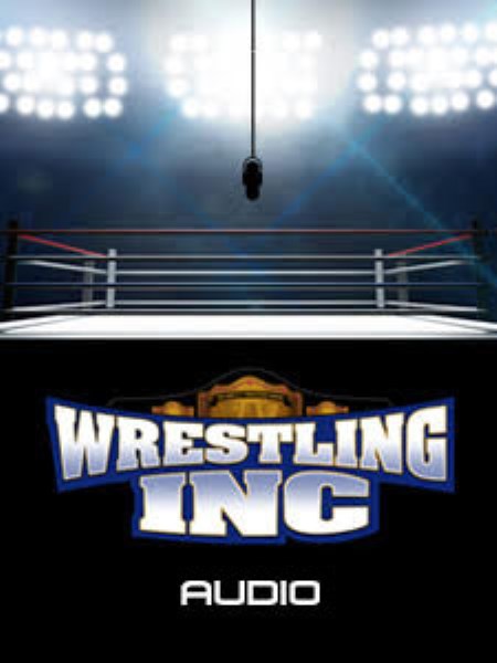wwe raw wrestling inc