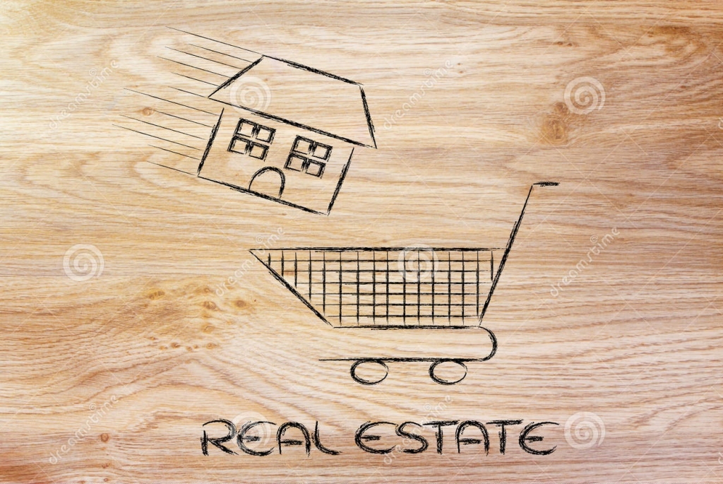 Mike Gray Real Estate