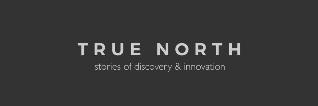 True North