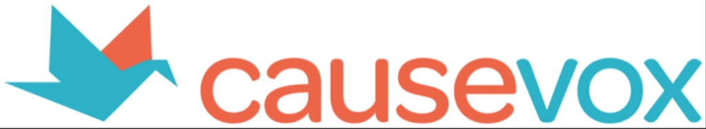 Rally & Engage: Online Fundraising & Marketing Insights For Nonprofits