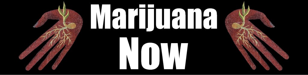 Marijuana Now!