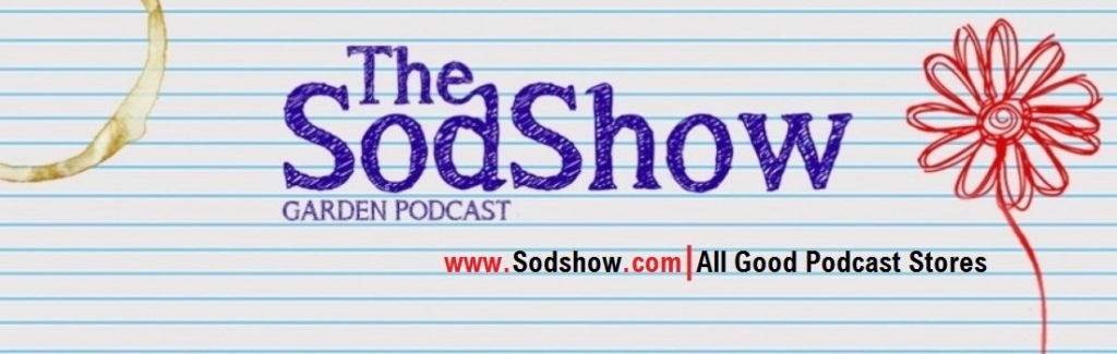 The Sodshow