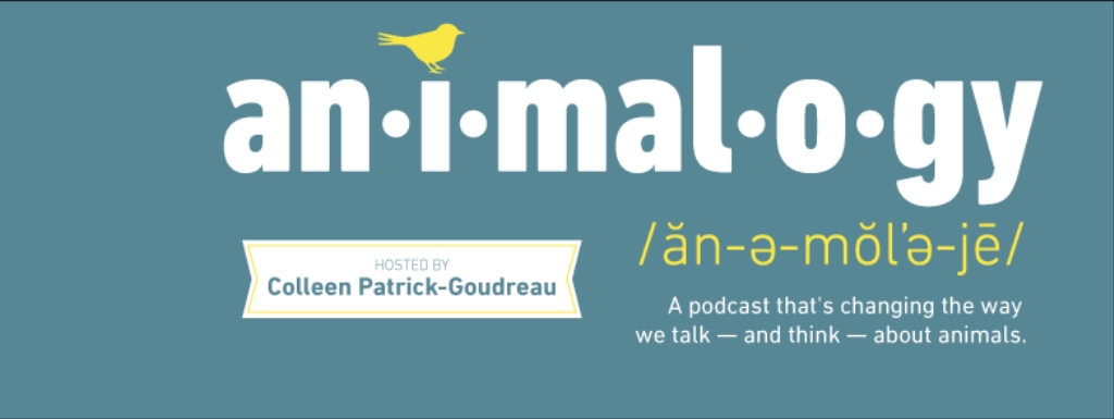 Animalogy \ Revealing the Animals in Our Everyday Words
