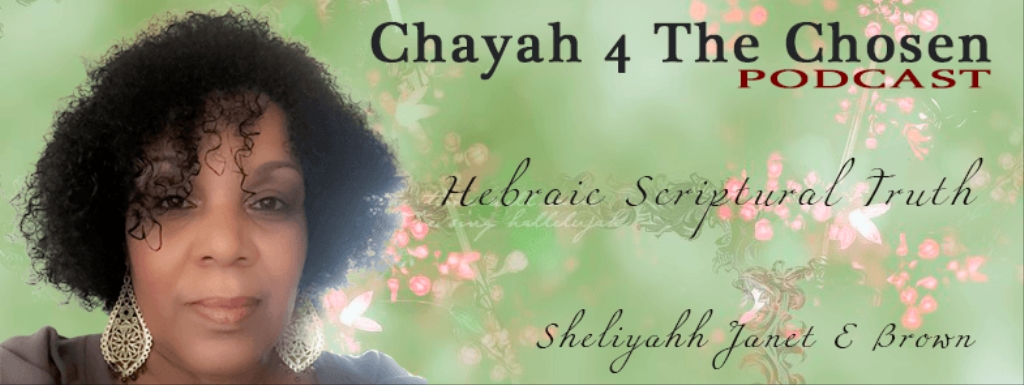 Chayah 4 The Chosen