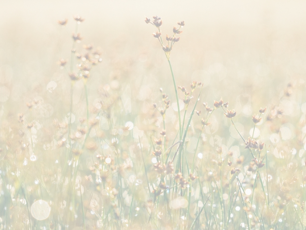 Seniors Flourish Podcast | Occupational Therapy