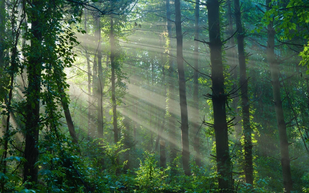 The Music of Nature Podcast