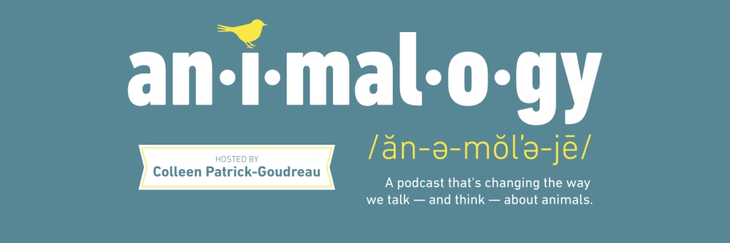 Animalogy