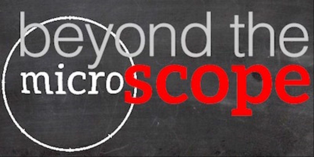 Beyond the Microscope - A podcast featuring women in STEM