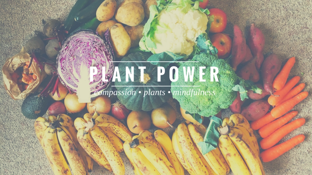 Plant Power Podcast