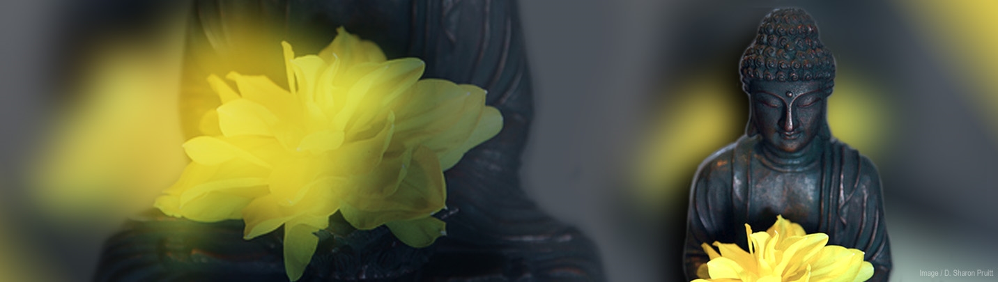 Stages of the Path to Awakening Podcast Archives - Thubten Chodron