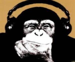 DJ City in The House