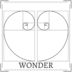 Wonder-logo