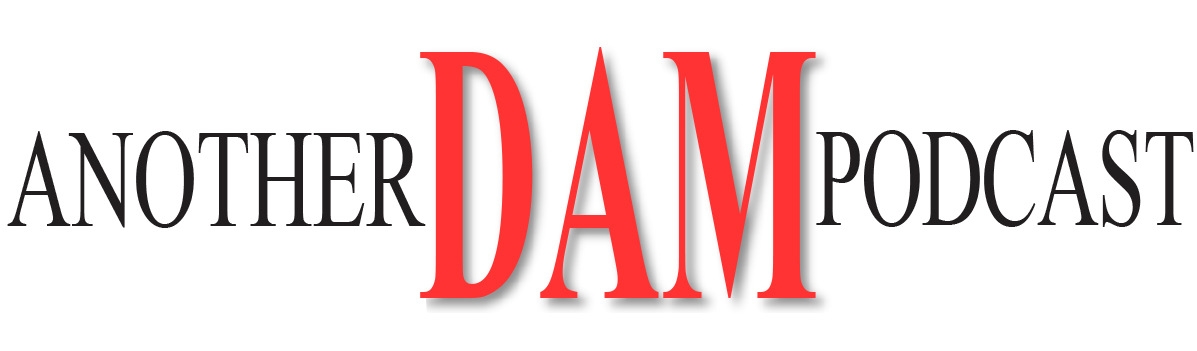 Another DAM Podcast