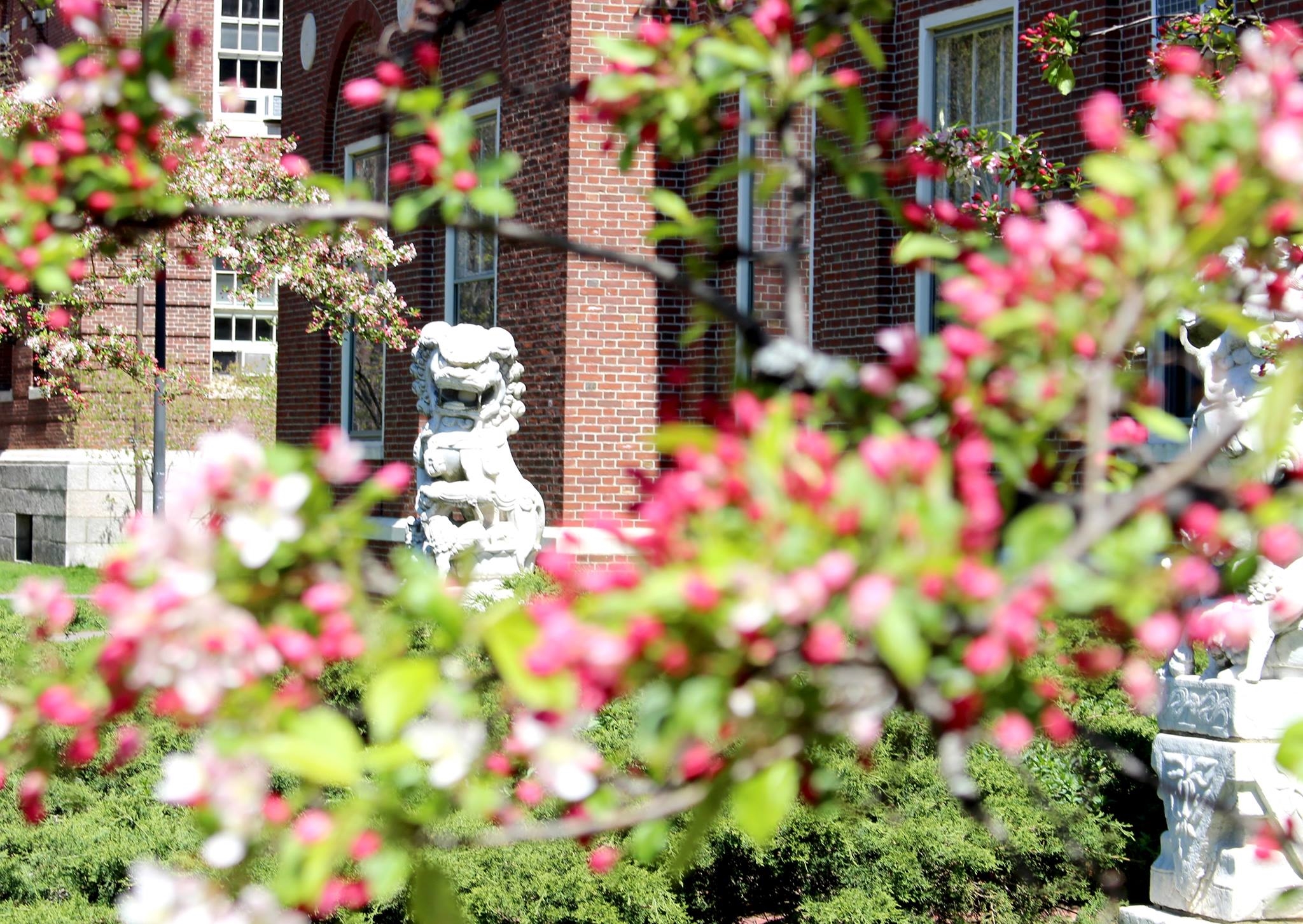 Harvard Fairbank Center for Chinese Studies