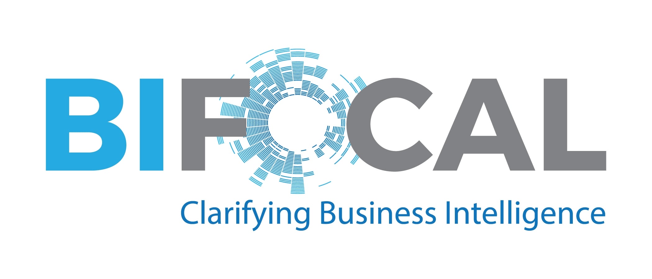BIFocal - Clarifying Business Intelligence