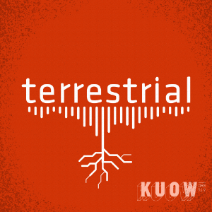 terrestrial-logo