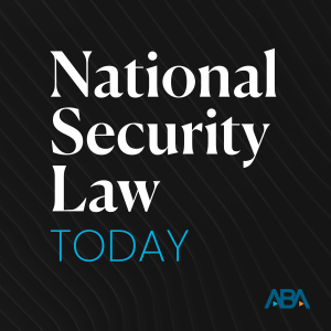 National Security Law Today-logo