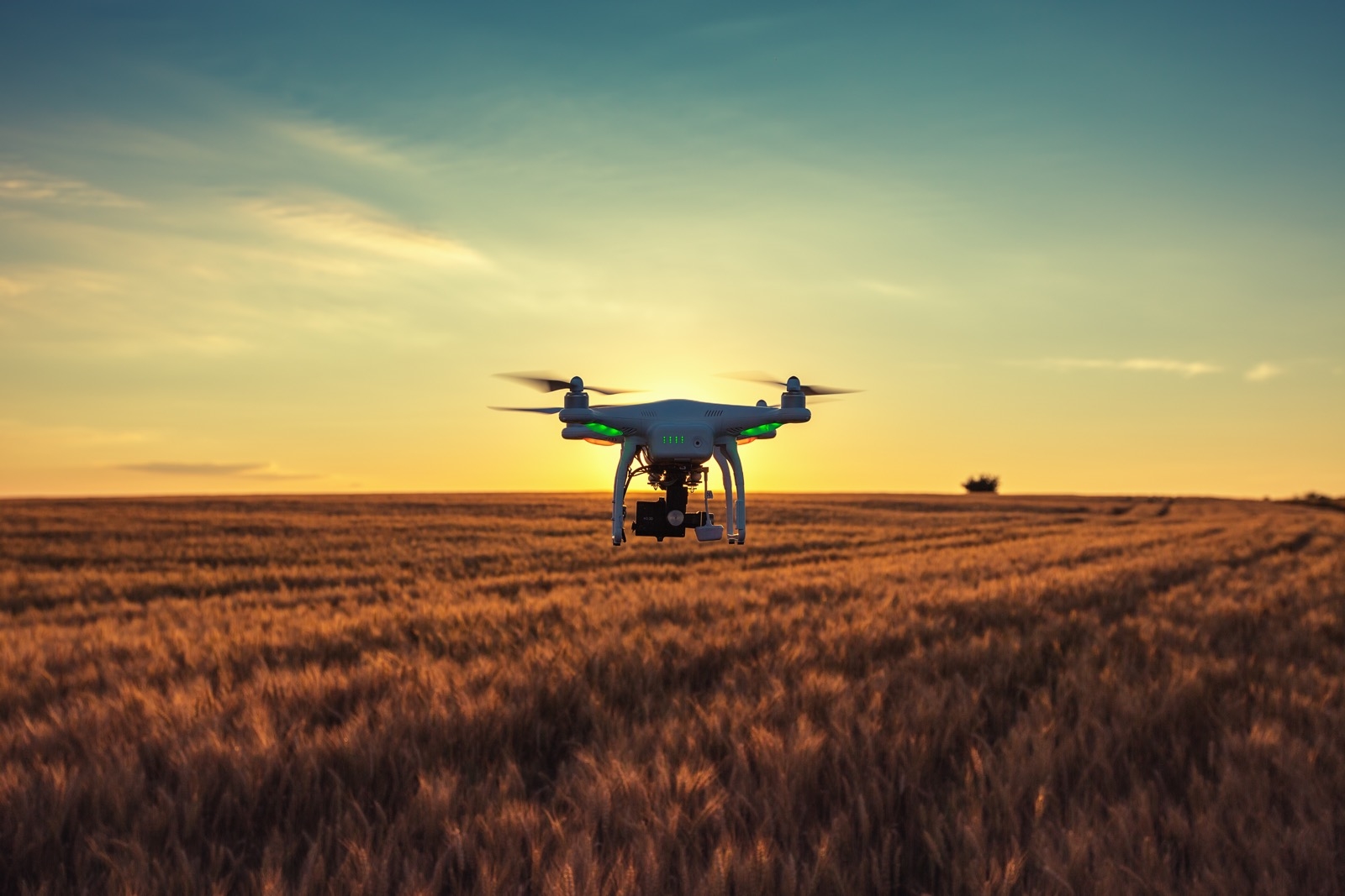 Food & Agriculture Innovators