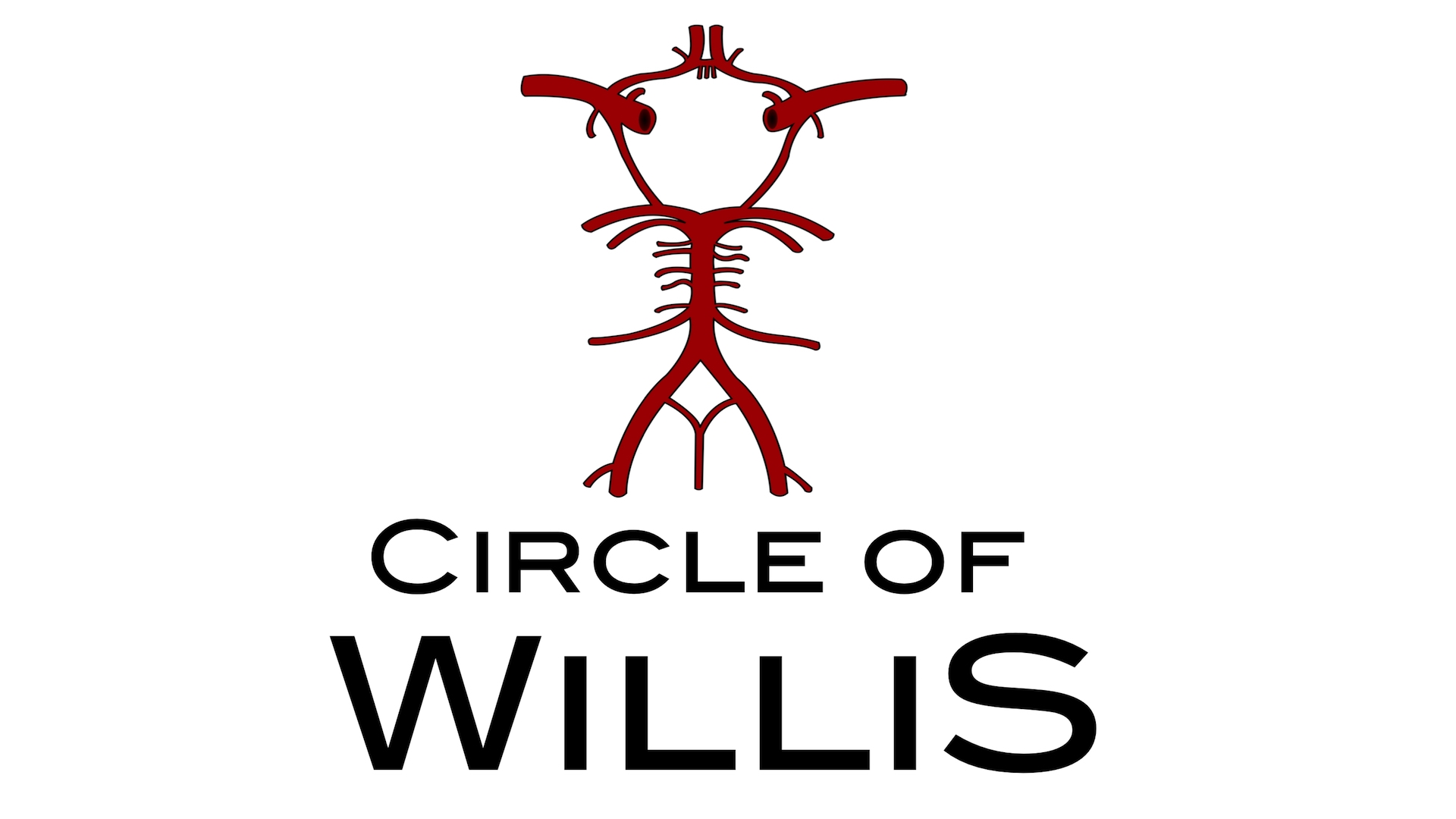 Circle of Willis