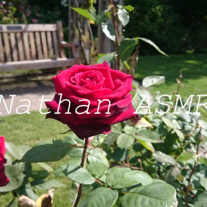 Nathan ASMR-logo